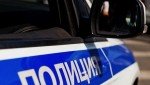 В Приангарье полицейские применили табельное оружие при задержании нетрезвой женщины-водителя